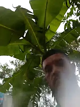 Hot Veteran 1 online show from 7, 3, 2026