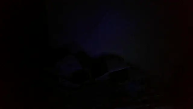 bialoba7 online show from 1, 10, 2025