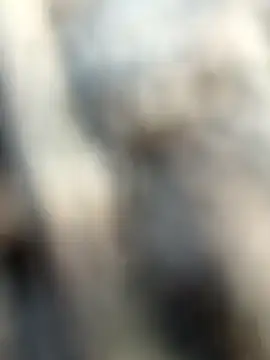 kalai 32 online show from 3, 2, 2026