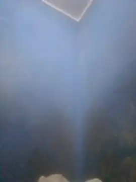 S7LEALTADPERVLIMA7 online show from 12, 4, 2026