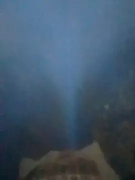 S7LEALTADPERVLIMA7 online show from 28, 6, 2026