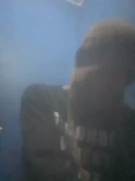 S7LEALTADPERVLIMA7 online show from 14, 7, 2026