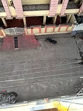 Snapshot of Castrol1289 chatting on 11, 2, 2026 Castrol1289 online show from 11, 2, 2026