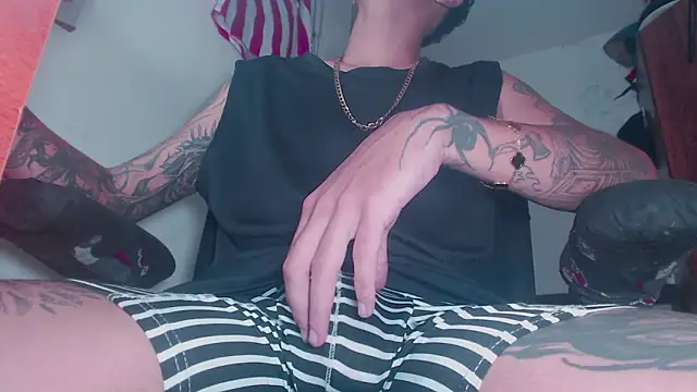 Snapshot of theskateboy chatting on 12, 3, 2026 theskateboy online show from 12, 3, 2026