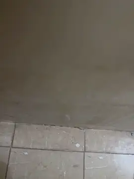 Snapshot of torchermachine chatting on 18, 4, 2026 torchermachine online show from 18, 4, 2026