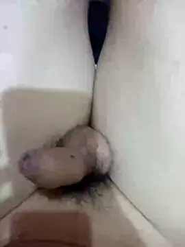 Snapshot of dallm5 chatting on 5, 3, 2026 dallm5 online show from 5, 3, 2026