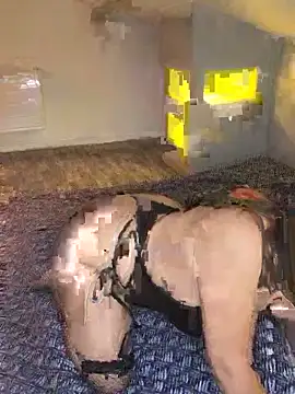 joujou95012 online show from 15, 4, 2026