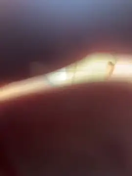 Snapshot of Kylxxx8 chatting on 29, 3, 2026 Kylxxx8 online show from 29, 3, 2026