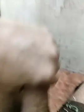 Snapshot of basyo2 chatting on 11, 4, 2026 basyo2 online show from 11, 4, 2026