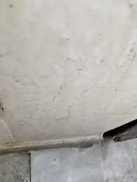 Snapshot of basyo2 chatting on 24, 4, 2026 basyo2 online show from 24, 4, 2026