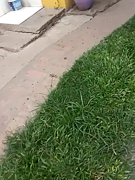 Snapshot of gordorichard chatting on 4, 2, 2026 gordorichard online show from 4, 2, 2026