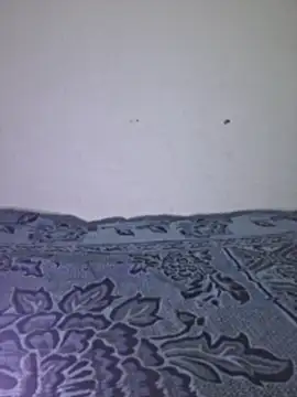 Sakeemaxxy online show from 13, 4, 2026