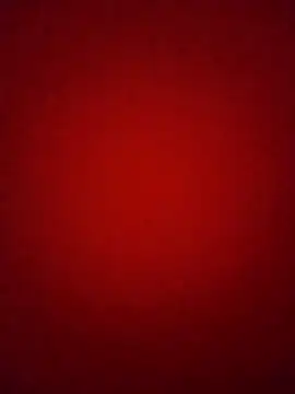 Snapshot of Pelloz chatting on 4, 2, 2026 Pelloz online show from 4, 2, 2026