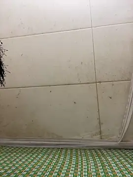 Miu Xinh online show from 7, 4, 2026