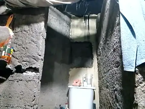 Snapshot of polla_large_active chatting on 11, 4, 2026 polla large active online show from 11, 4, 2026