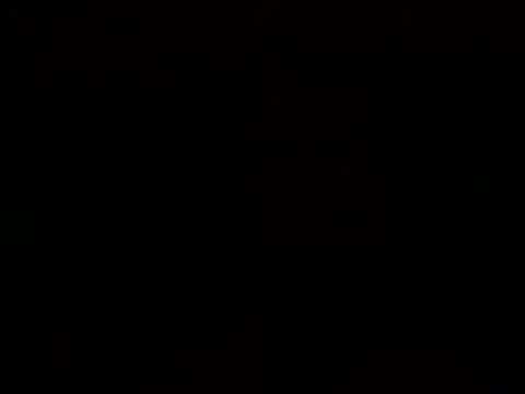 Snapshot of Tommyzzzzzz chatting on 29, 12, 2024 Tommyzzzzzz online show from 29, 12, 2024