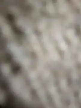 Flexxxo09 online show from 4, 2, 2026