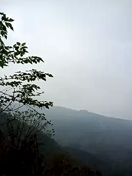 cuunon11 online show from 1, 3, 2026