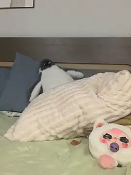 Snapshot of Rin-yiyi chatting on 8, 3, 2026 Rin-yiyi online show from 8, 3, 2026