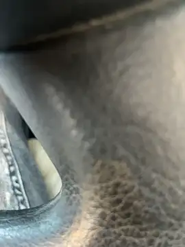 stallone italiano 62 online show from 11, 4, 2026