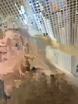 -OliviaSoft online show from 1, 3, 2026