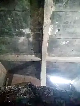 Loomaraj online show from 11, 4, 2026