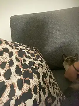 Snapshot of little_dreamer_ chatting on 9, 3, 2026 little dreamer online show from 9, 3, 2026