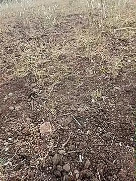 Snapshot of yusu_3 chatting on 23, 2, 2026 yusu 3 online show from 23, 2, 2026