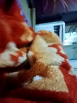 Snapshot of yusu_3 chatting on 19, 3, 2026 yusu 3 online show from 19, 3, 2026