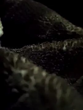 Snapshot of aryanvfit chatting on 9, 2, 2026 aryanvfit online show from 9, 2, 2026