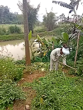 Girl-crazy1 online show from 16, 3, 2026