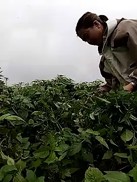 lovely-742 online show from 28, 2, 2026