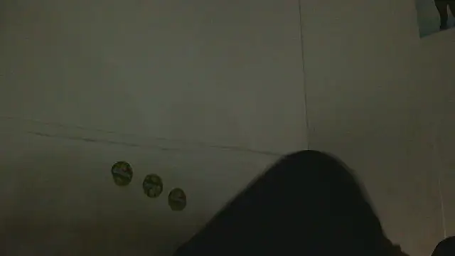 Snapshot of pbilip7787 chatting on 25, 2, 2026 pbilip7787 online show from 25, 2, 2026