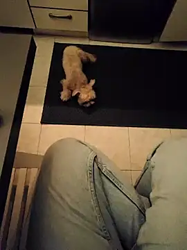 Ginevra01 online show from 9, 3, 2026