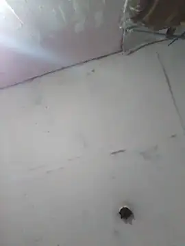 Snapshot of cobrosdepagos chatting on 11, 4, 2026 cobrosdepagos online show from 11, 4, 2026