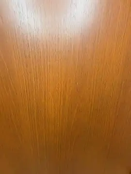 Snapshot of SANA-ch chatting on 29, 3, 2026 SANA-ch online show from 29, 3, 2026