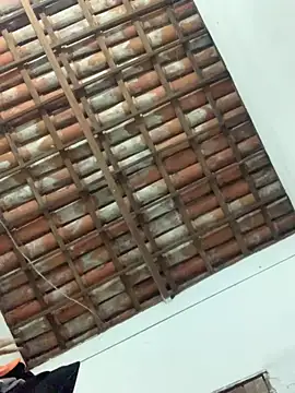 Snapshot of Navresseed chatting on 18, 4, 2026 Navresseed online show from 18, 4, 2026