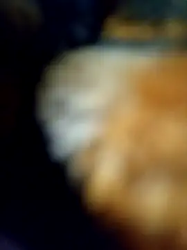 Snapshot of Avinh_09 chatting on 15, 2, 2026 Avinh 09 online show from 15, 2, 2026