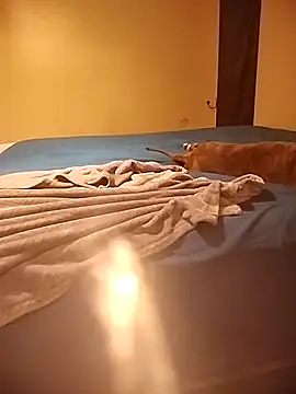 Snapshot of MissBella0969 chatting on 4, 4, 2026 MissBella0969 online show from 4, 4, 2026