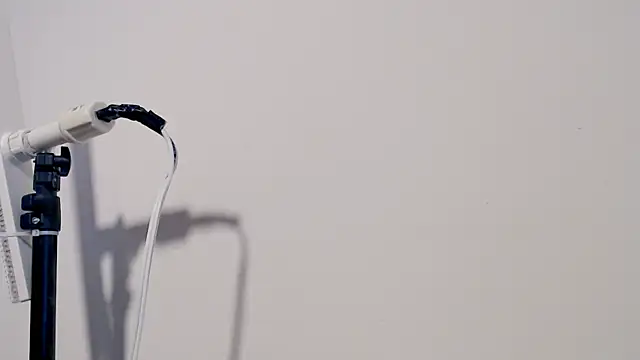 Snapshot of MARYXS1 chatting on 24, 2, 2026 MARYXS1 online show from 24, 2, 2026