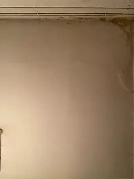 Snapshot of _Sabah_ chatting on 23, 2, 2026 Sabah online show from 23, 2, 2026