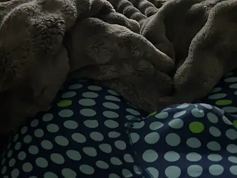 Snapshot of kakarot241515 chatting on 6, 3, 2026 kakarot241515 online show from 6, 3, 2026