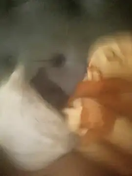 Snapshot of InferredPloce chatting on 23, 4, 2026 InferredPloce online show from 23, 4, 2026