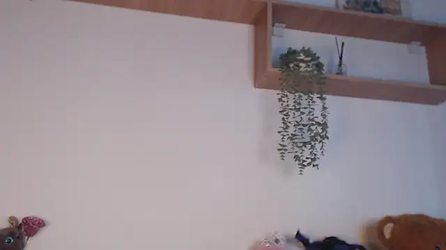 Snapshot of SPICYKC chatting on 7, 4, 2026 SPICYKC online show from 7, 4, 2026