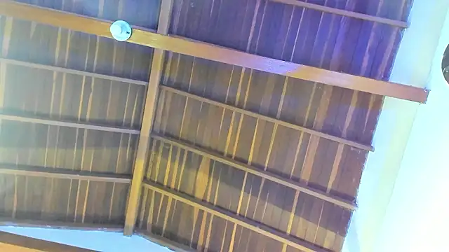 Snapshot of TonyPetrovjs chatting on 26, 2, 2026 TonyPetrovjs online show from 26, 2, 2026