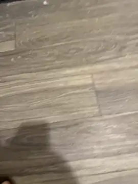 SavorredEscapist online show from 26, 2, 2026