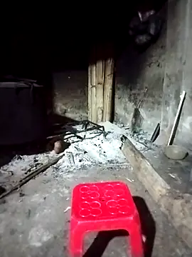 Snapshot of ngocbao11 chatting on 1, 3, 2026 ngocbao11 online show from 1, 3, 2026