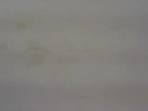 Snapshot of cute_momo_love chatting on 29, 5, 2026 cute momo love online show from 29, 5, 2026
