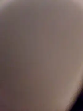 Snapshot of skynct2007 chatting on 24, 2, 2026 skynct2007 online show from 24, 2, 2026