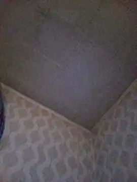 Snapshot of DiamondDaisy chatting on 5, 5, 2026 DiamondDaisy online show from 5, 5, 2026